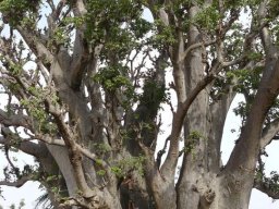 282069_10150257390004901_7933509_n